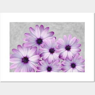 Purple Daisies and Gray Posters and Art